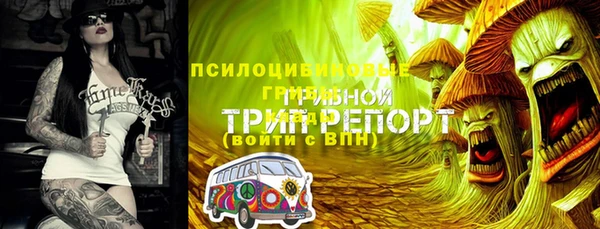 дмт Баксан